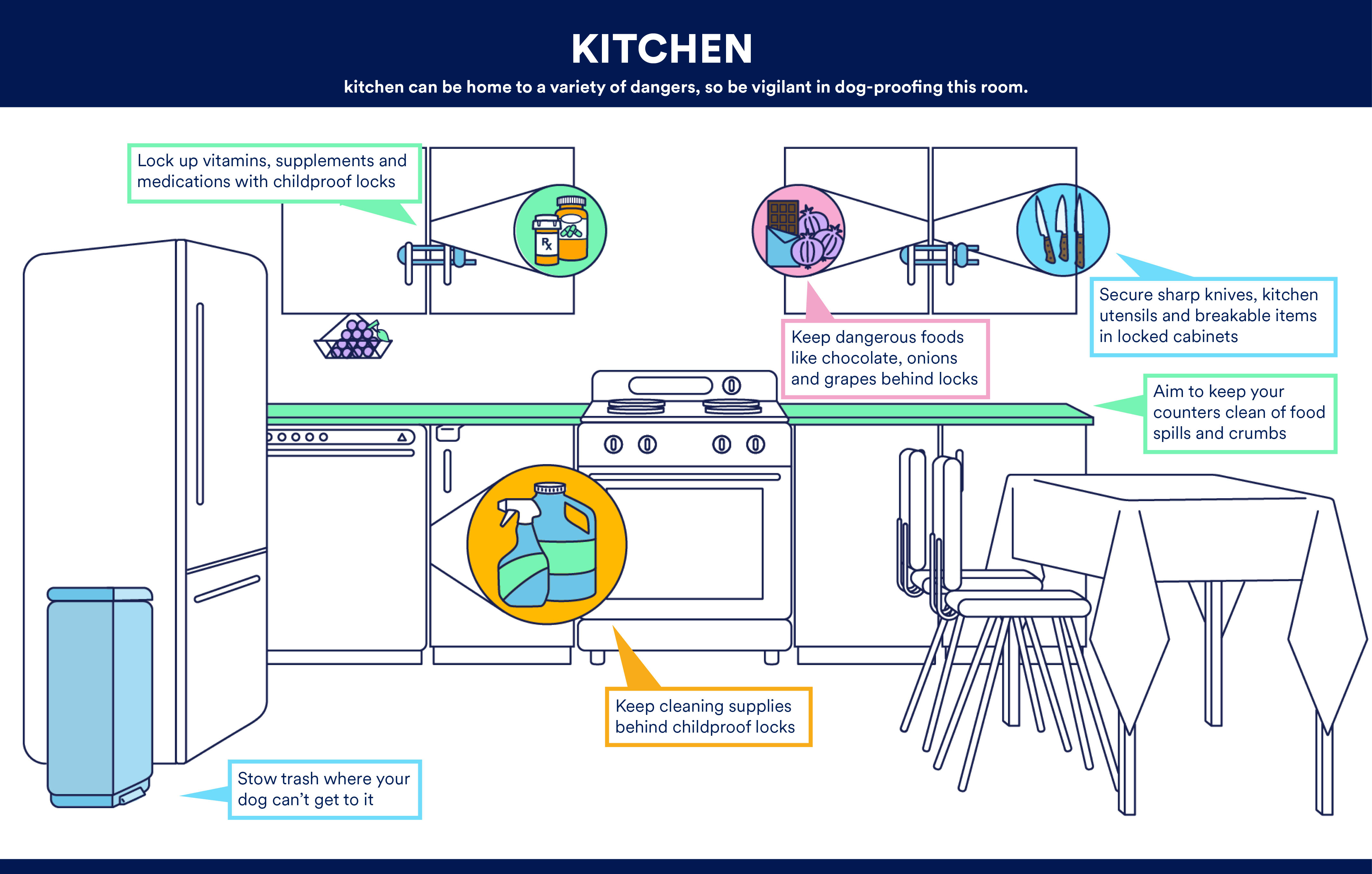 How to puppy hot sale proof the house